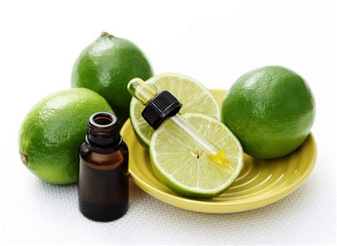 Lime Essential Oil: Uses and Benefits - Crafting Her Scents