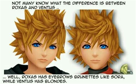 The differences between Roxas and Ventus | Kingdom hearts funny, Kingdom hearts art, Kingdom ...