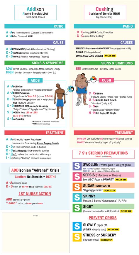 Addison vs Cushings - Guide to remember!! - ADDS Addison Absent ...