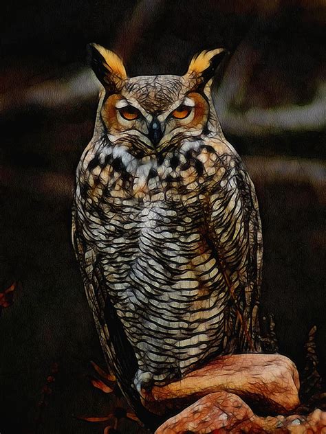 Great Horned Owl Digital Art Digital Art by Ernie Echols - Fine Art America