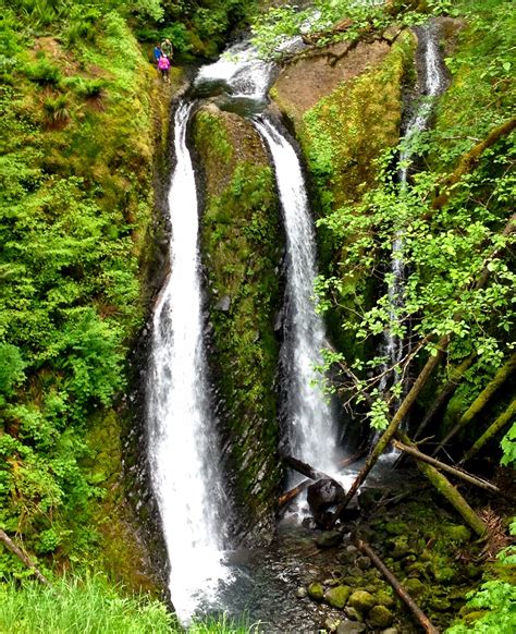 Triple falls in the Columbia River gorge 6/2014 | State parks, Columbia ...