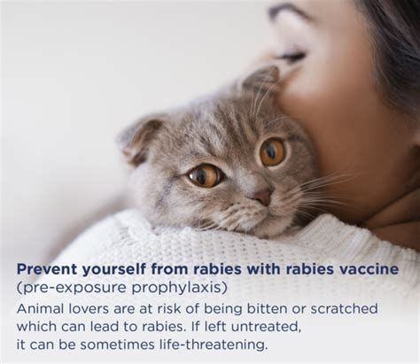 Rabies Vaccine for Pre-Exposure Prophylaxis (2 Shots) Package | Bangkok Hospital