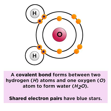 Polar vs. Nonpolar Bonds — Overview & Examples - Expii | Covalent bonding, Bond, Chemistry quotes