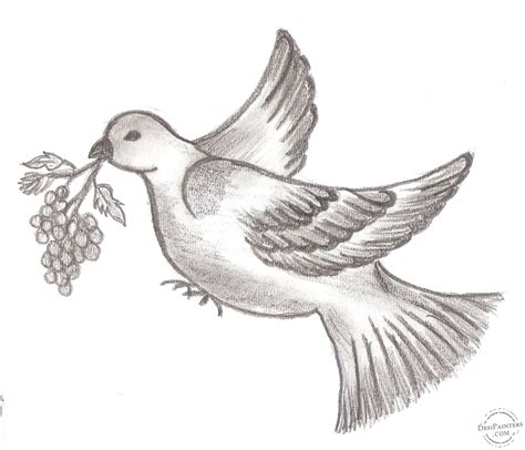 Pencil Sketch of Bird | DesiPainters.com