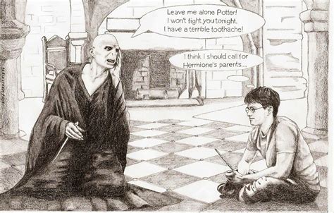 Harry Potter and Lord Voldemort - Harry Potter and Lord Voldemort Fan ...