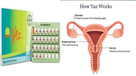 Yaz birth control pills uses/yaz birth control pills side effects in urdu/hindi - YouTube