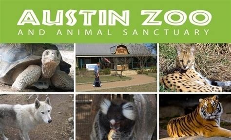 Austin Zoo - Austin, TX | Groupon