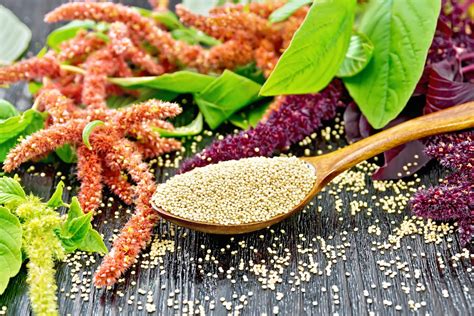 What is Amaranth? History, Benefits, and Uses | Food Revolution Network