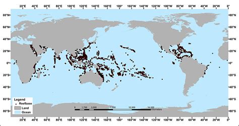 In what types of water do corals live?