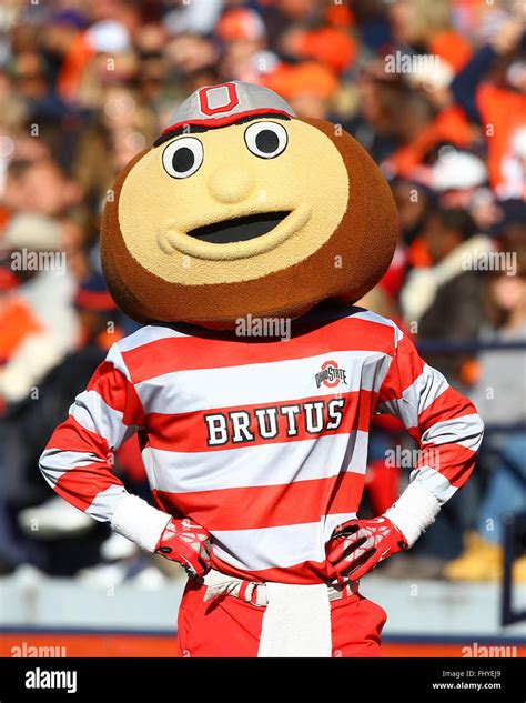 Ohio State Buckeyes mascot Brutus is seen during an NCAA football game ...