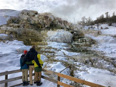 Top Things to Do in Yellowstone in Winter - Yellowstone Trips