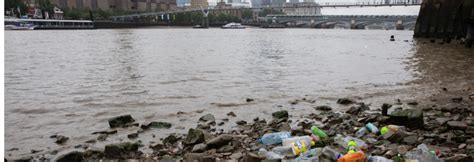 THE RIVER THAMES: PLASTIC BOTTLE POLLUTION - NEW REPORT - OneLessBottle