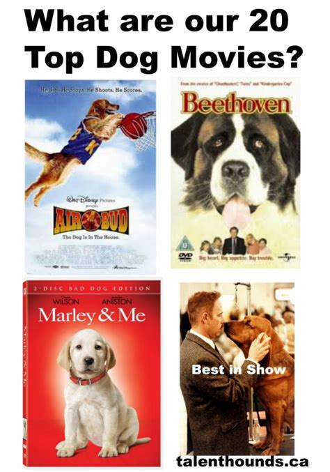 What are our 20 Top Dog Movies? - Talent Hounds