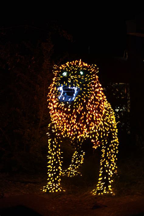 Zoo Lights 19 | Christmas Lights at The Phoenix Zoo. Taken o… | Flickr