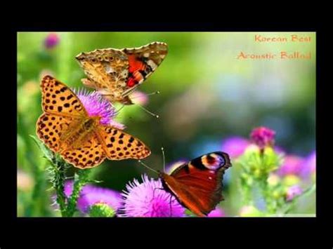 Korean Best Acoustic Ballad Song Compilation Part.1 - YouTube