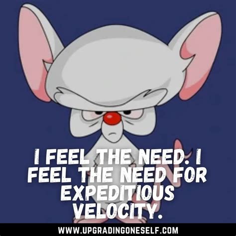 pinky and the brain quotes (2) - Upgrading Oneself