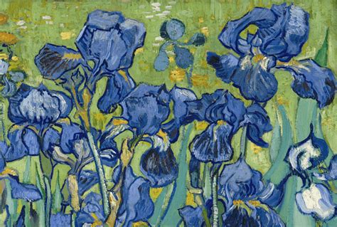 Van Gogh Irises Wallpapers - Top Free Van Gogh Irises Backgrounds - WallpaperAccess