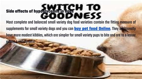 PPT - Best Dog Food for Small Breeds PowerPoint Presentation, free ...