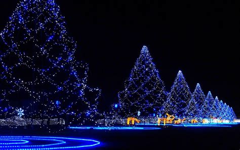 Christmas Lights Trees Wallpapers - Wallpaper Cave