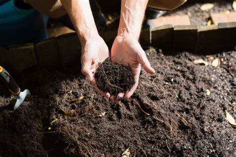 Observance Of National Soil Conservation Week - Werbylo | We rise by lifting others