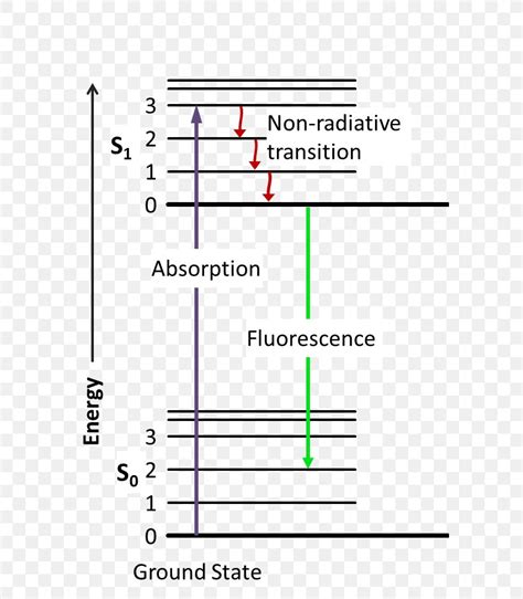 Jablonski Diagram Fluorescence Excited State Phosphorescence Absorption, PNG, 621x939px ...