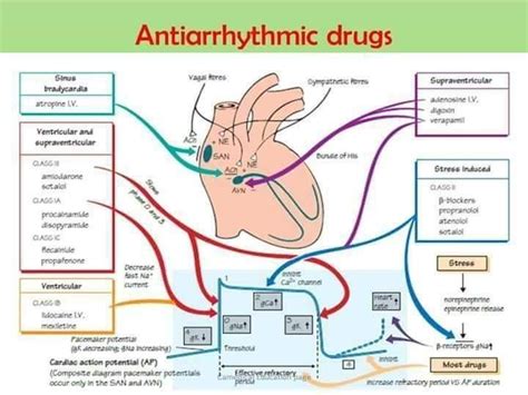 Pin by Dharmaveer on Pharmacology mechanisms | Pharmacology nursing ...