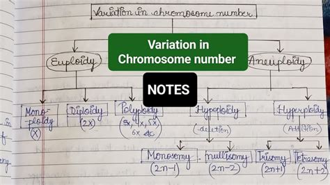 Variation in Chromosome Number / Euploidy / Aneuploidy / Examples # ...