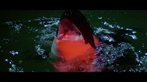 Orca Blu-ray Release Date June 30, 2020