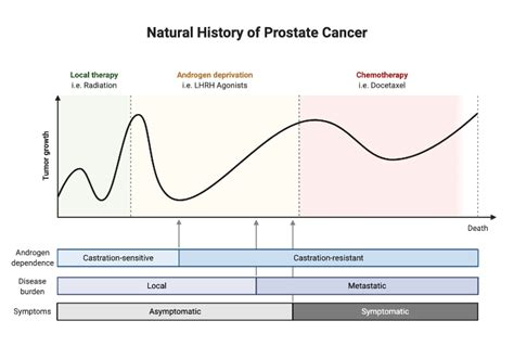 Natural History of Prostate Cancer | BioRender Science Templates