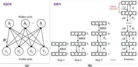 Training algorithm illustration of RBM and DBN. a RBM structure; b... | Download Scientific Diagram