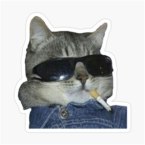 Cute Cat With Glasses | ubicaciondepersonas.cdmx.gob.mx