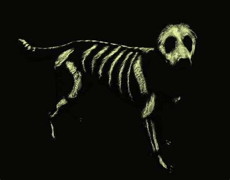 “picture of a glowing dog skeleton made by glow-in-the-dark paint, painted on a dog. The picture ...