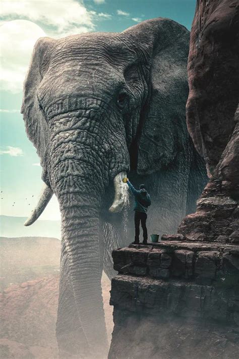 Giant Elephant Art Print by Adam Cousins | iCanvas