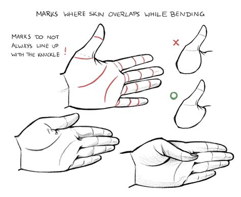 How to Draw Hands and Feet | Art Rocket