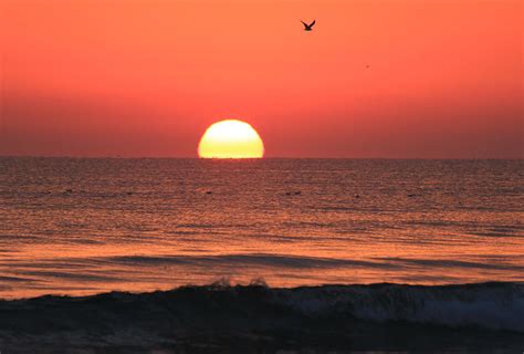 Daytona Beach Sunrise Photograph by Wild Expressions Photography