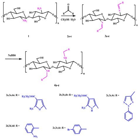 Scheme 1. Synthesis of chitosan Schiff's base (CSB) and chitosan amine... | Download Scientific ...