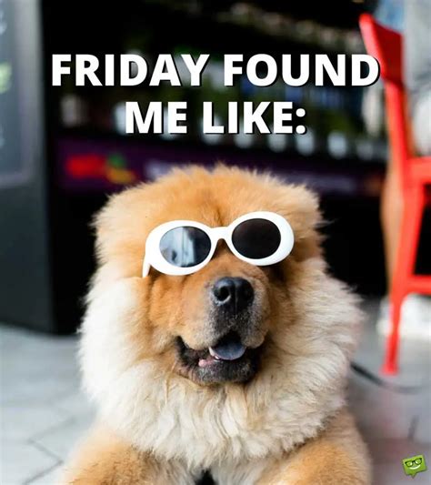 Friday Memes + Funny Stuff to Share | Thank God it's Friday!