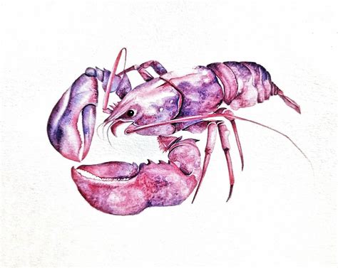 Pink Lobster Painting by Sarah Bjork - Fine Art America