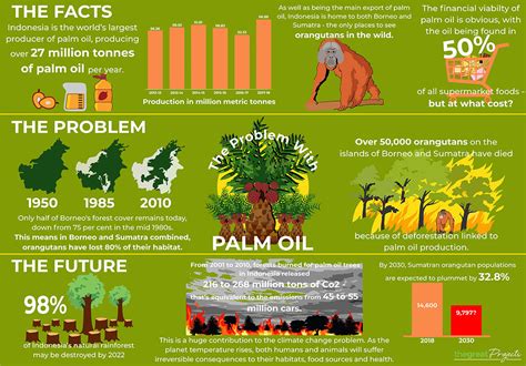 Palm Oil Deforestation Facts