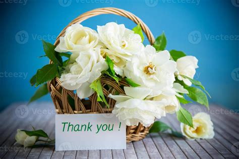 Thank You For Visiting Stock Photos, Images and Backgrounds for Free ...