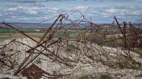 Historyfan, Barbed wire from the First World War still intact...