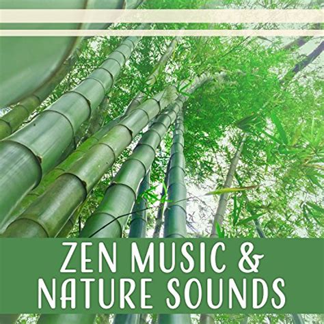 Zen Music & Nature Sounds - 50 Yoga Meditation Tracks for Stress Relief, Yoga and Sleep ...