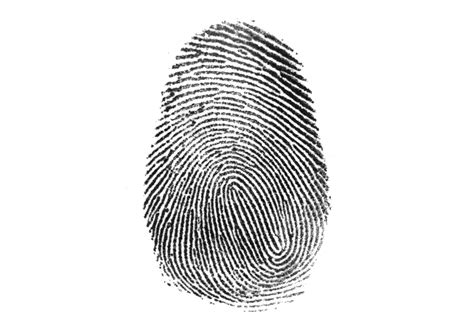 MI CLASE DE SEXTO: FINGERPRINTS