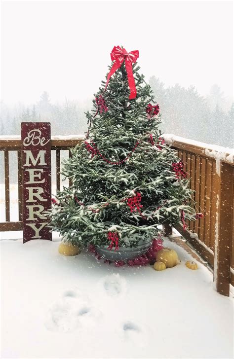 How to Decorate an Outdoor Christmas Tree - Fresh Eggs Daily® with Lisa ...