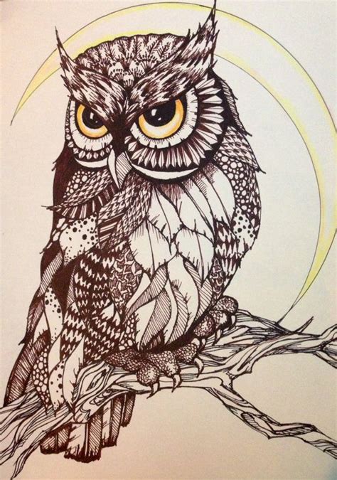 Owl On Tree Branch Drawing at GetDrawings | Free download