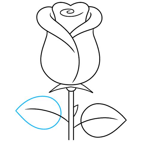 Simple Rose Drawing Outline