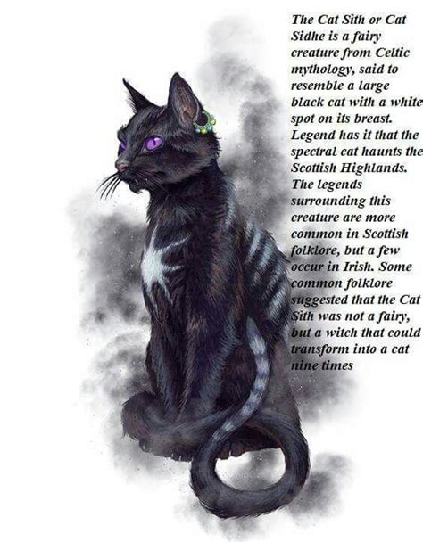 Cat Sith or Cat Sidhe | Mythological creatures, Mythology, Celtic mythology