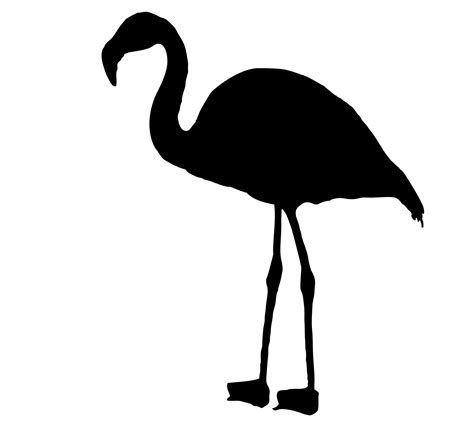 Flamingo Bird Silhouette Clipart Free Stock Photo - Public Domain Pictures