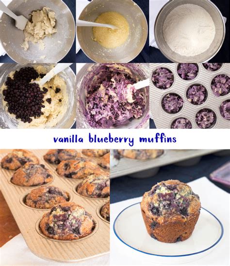 Amazing Vanilla Blueberry Muffins - Oat&Sesame