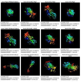 Model.1 of 3D designed structures was predicted by I-TASSER. | Download ...